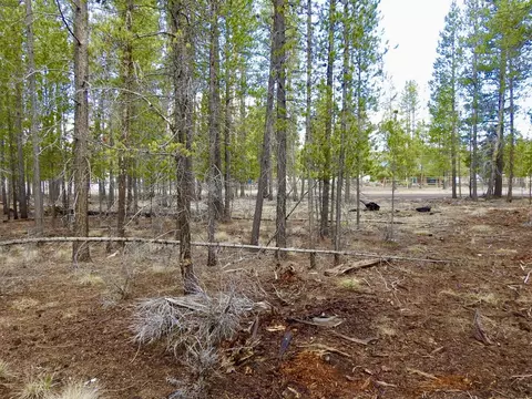 10100 Beechwood Drive #1, La Pine, OR 97739 photo 3