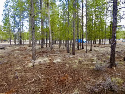 10100 Beechwood Drive #1, La Pine, OR 97739 photo 2