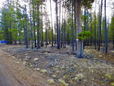 10100 Beechwood Drive #1, La Pine, OR 97739 photo 7