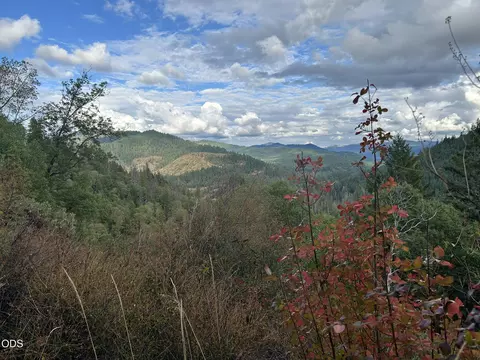 6200 Lower Grave Creek Rd, Wolf Creek, OR 97497