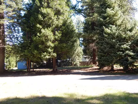 356 M Ln, Prospect, OR 97536 photo 4