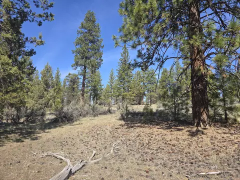 widgeon drive, Bonanza, OR 97623