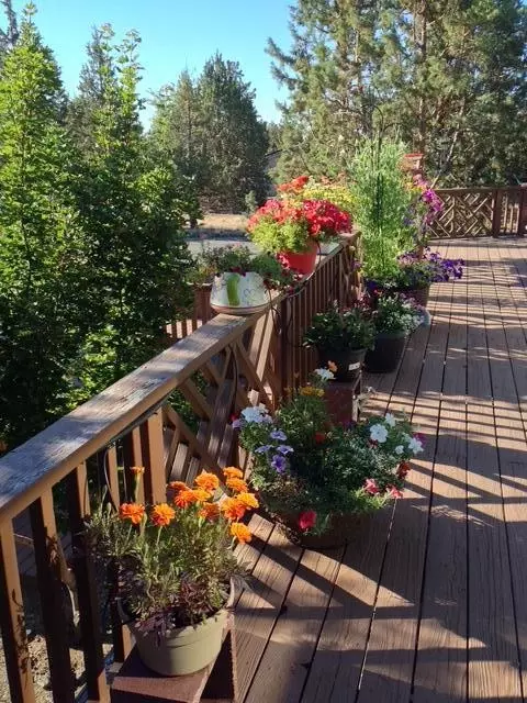 64810 Mcgrath Rd, Bend, OR 97701 photo 9