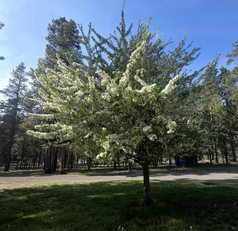 Other - 53156 Day Rd, La Pine, OR 97739 photo 1 of 3