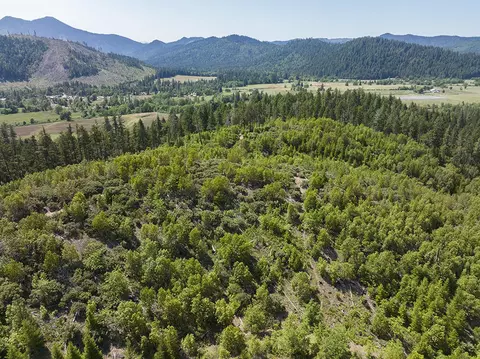 0 Deer Creek Rd #802, Selma, OR 97538