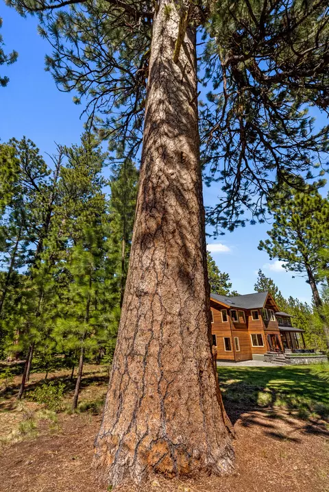 Exterior - 16396 Skyline Dr, Bend, OR 97703 photo 9 of 24