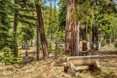 Other - 16396 Skyline Dr, Bend, OR 97703 photo 25 of 28