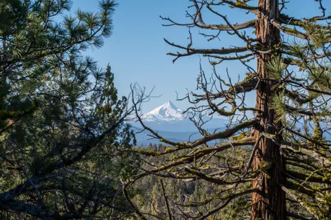 64837 Collins Rd, Bend, OR 97703 photo 7