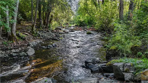 3950 Little Applegate Rd, Jacksonville, OR 97530