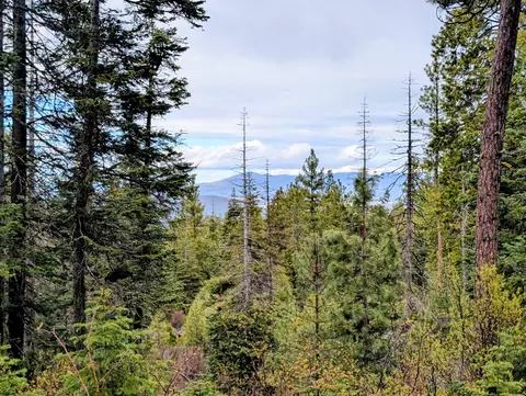 beaver lane, Bonanza, OR 97623