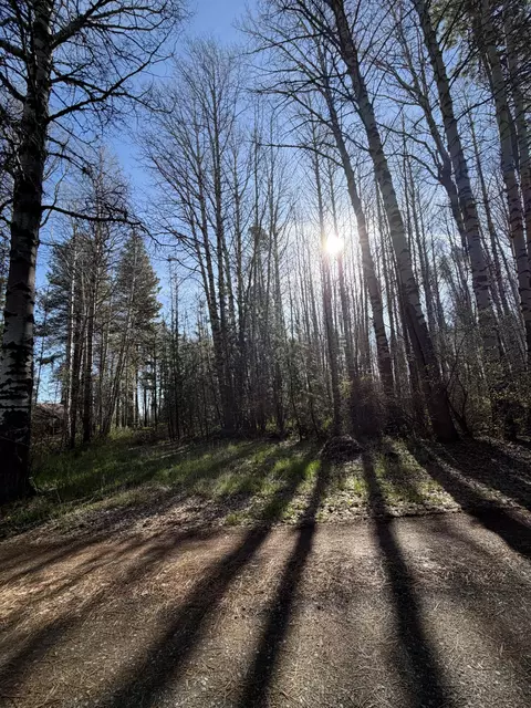 315625 Runnels Ln, Klamath Falls, OR 97601