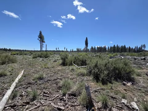 0 Mountain Quail Ln #LOT 9, Chiloquin, OR 97624