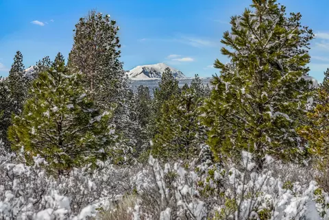 18945 Macalpine Loop, Bend, OR 97702 photo 8