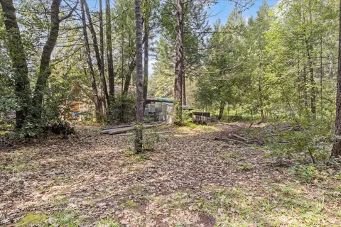 461 Stage Stop Dr, Cave Junction, OR 97523 photo 5