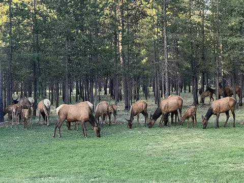Other - 55550 Heidi Ct, Bend, OR 97707 photo 16 of 16