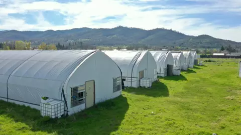 Other - 411 Hartley Rd, Phoenix, OR 97535 photo 6 of 11