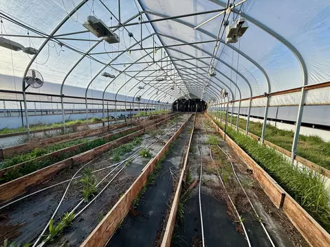 Other - 411 Hartley Rd, Phoenix, OR 97535 photo 10 of 11