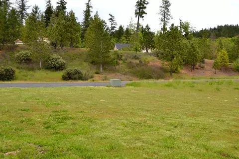 233 Red Cedar Ln, Cave Junction, OR 97523 photo 3