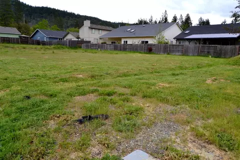 233 Red Cedar Ln, Cave Junction, OR 97523 photo 2