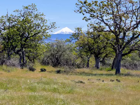 stevens road, Eagle Point, OR 97524 photo 9