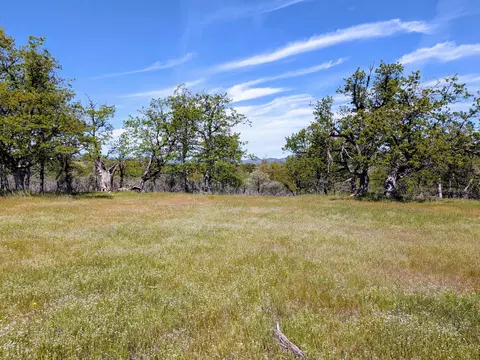 stevens road, Eagle Point, OR 97524 photo 13