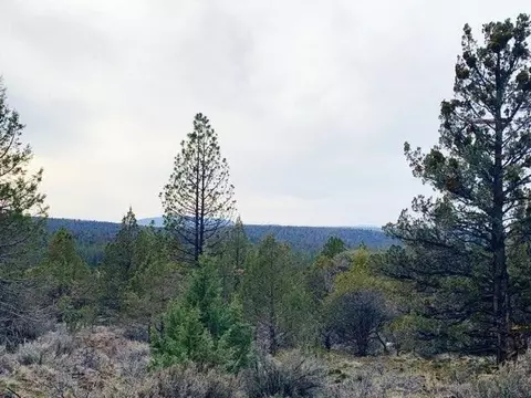 0 Widgeon Drive Lots 1 2 3 Dr #LOT S 1, 2 & 3, Bonanza, OR 97623