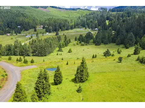 bugle loop, Oakridge, OR 97463 photo 4