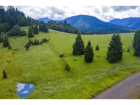 bugle loop, Oakridge, OR 97463 photo 2