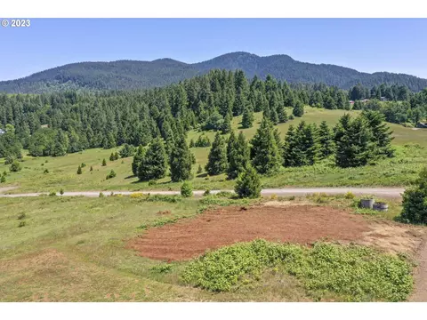 bugle loop, Oakridge, OR 97463 photo 3