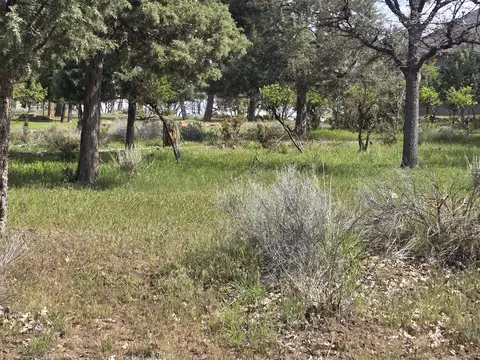 kestrel road, Klamath Falls, OR 97601