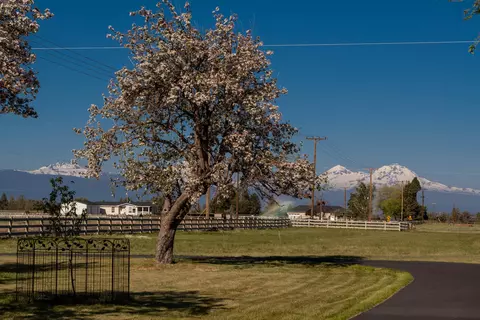 Exterior - 20900 SW Young Ave, Bend, OR 97703 photo 7 of 12