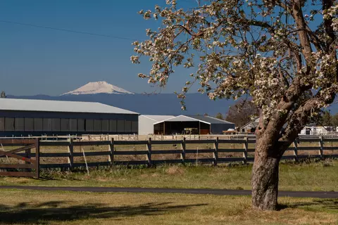 Other - 20900 SW Young Ave, Bend, OR 97703 photo 8 of 18
