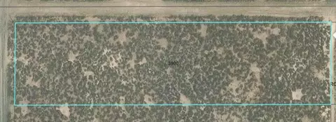 tinsel rd, Christmas Valley, OR 97641
