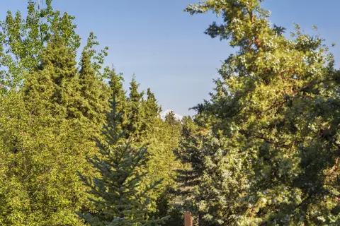 Exterior - 628 Highland Meadow Loop, Redmond, OR 97756 photo 6 of 23