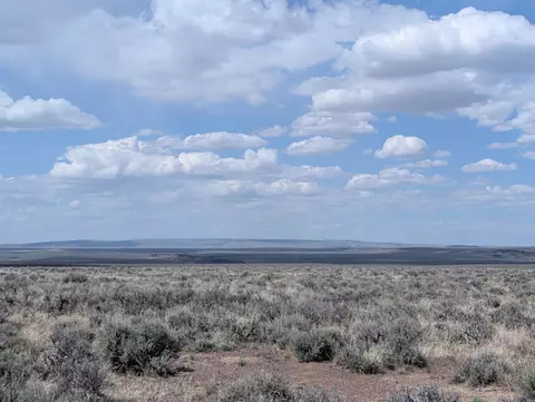 black canyon road, Adel, OR 97620