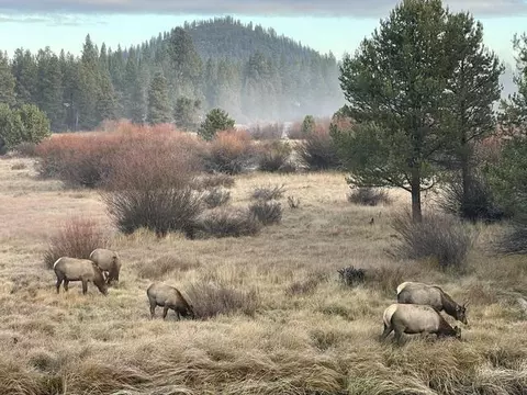 Other - 54641 Silver Fox Dr, Bend, OR 97707 photo 21 of 22