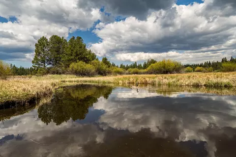 Other - 54641 Silver Fox Dr, Bend, OR 97707 photo 7 of 22