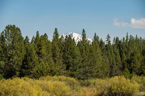 Other - 54641 Silver Fox Dr, Bend, OR 97707 photo 13 of 22