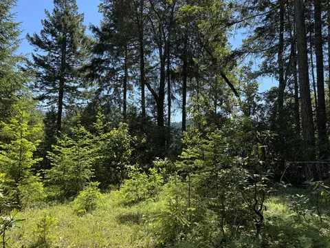 1522 Bridge Ln, Wolf Creek, OR 97497