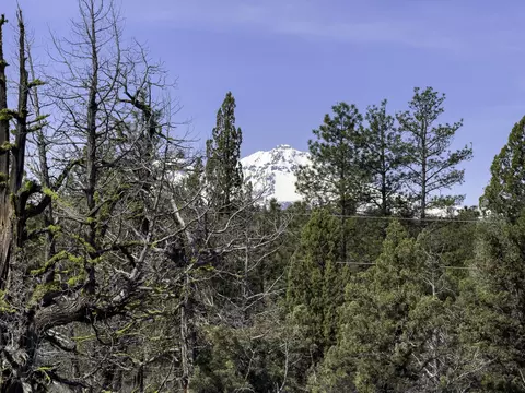 67372 Harrington Loop Rd, Bend, OR 97703 photo 8