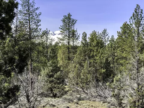 67372 Harrington Loop Rd, Bend, OR 97703 photo 11