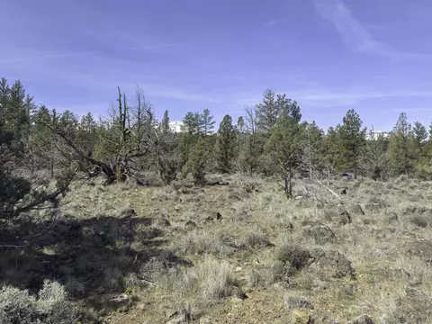 67372 Harrington Loop Rd, Bend, OR 97703 photo 14