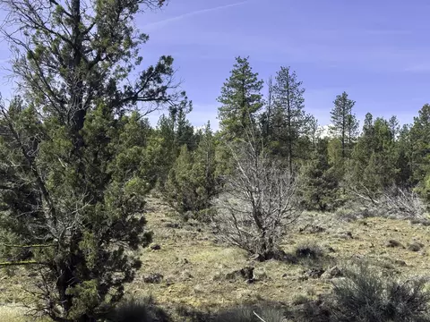 67372 Harrington Loop Rd, Bend, OR 97703 photo 18