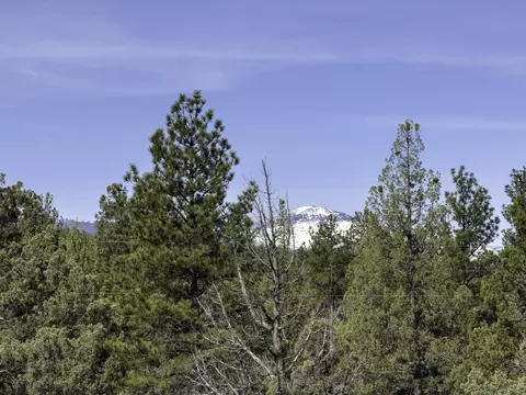 67372 Harrington Loop Rd, Bend, OR 97703 photo 13