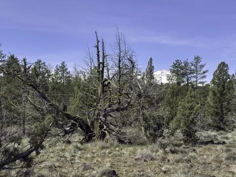 67372 Harrington Loop Rd, Bend, OR 97703 photo 15