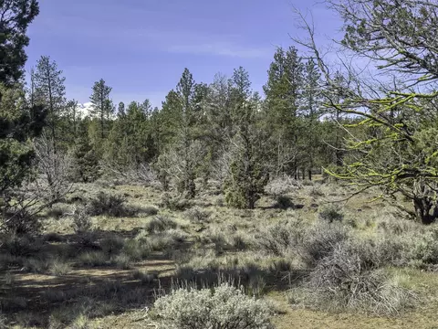 67372 Harrington Loop Rd, Bend, OR 97703 photo 17