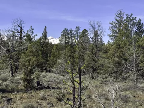 67372 Harrington Loop Rd, Bend, OR 97703 photo 12