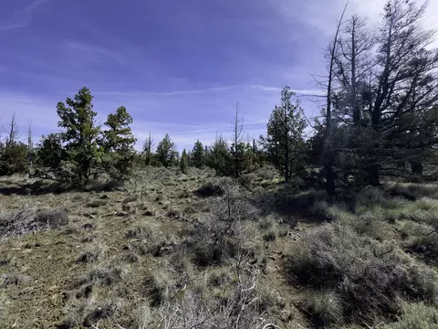 67372 Harrington Loop Rd, Bend, OR 97703 photo 22