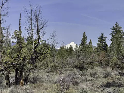 67372 Harrington Loop Rd, Bend, OR 97703 photo 9