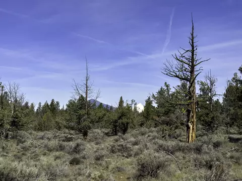 67372 Harrington Loop Rd, Bend, OR 97703 photo 16